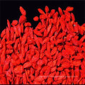 Wholesale goji berry in bulk